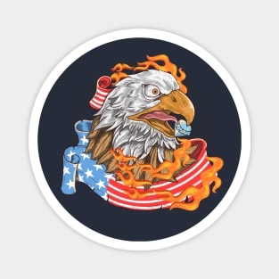 Usa Eagle Flag Fire Magnet